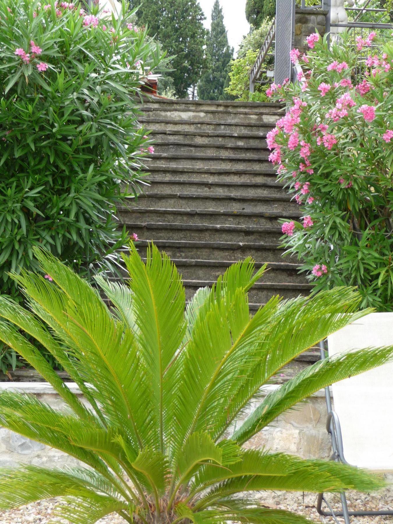 Hotel Villa Dei Bosconi Fiesole Exterior foto